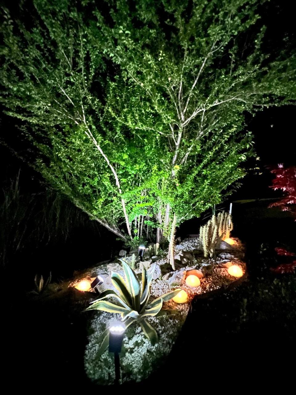 กัน อีเดน บีแอนด์บี Bed & Breakfast San Benedetto Del Querceto ภายนอก รูปภาพ