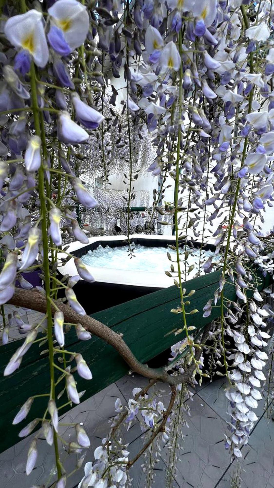 กัน อีเดน บีแอนด์บี Bed & Breakfast San Benedetto Del Querceto ภายนอก รูปภาพ