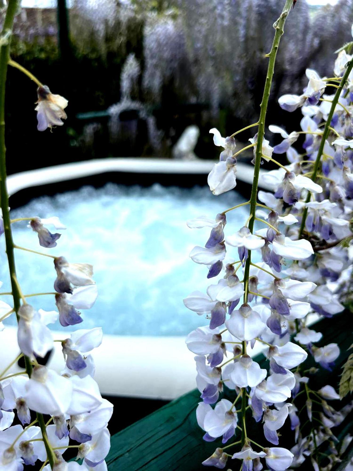 กัน อีเดน บีแอนด์บี Bed & Breakfast San Benedetto Del Querceto ภายนอก รูปภาพ